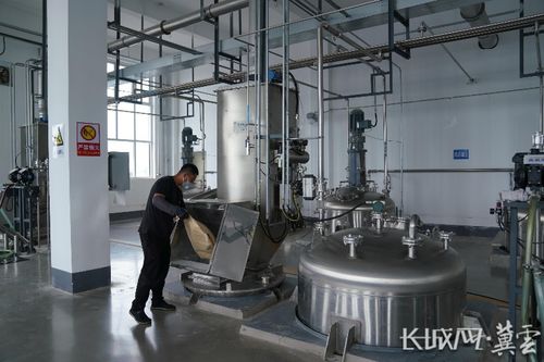 三中全會精神在基層丨辛集 高效全鏈 綠色化工產業向新行鳳凰網河北 鳳凰網