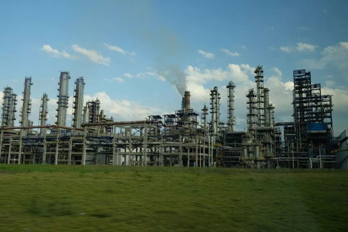 化工實踐 肩負使命,勇闖未來 化工學院長三角石化行業智能制造和一體化發展的調研