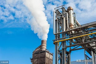 兩個極端 pa的兩種化工產品原料,依賴進口 產能過剩