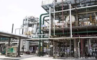 e鹽資訊 江蘇已關停多家化工企業(yè),然鵝只是開始