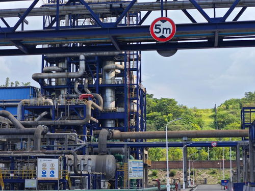 活力中國調研行 重慶 山水 煥新 產業 增綠