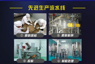 網絡技術服務 驅動數字化轉型的關鍵力量